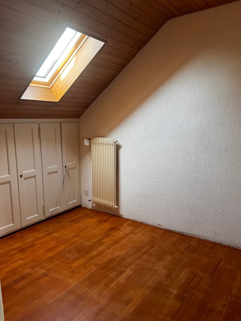 Charmante Dachwohnung (7)