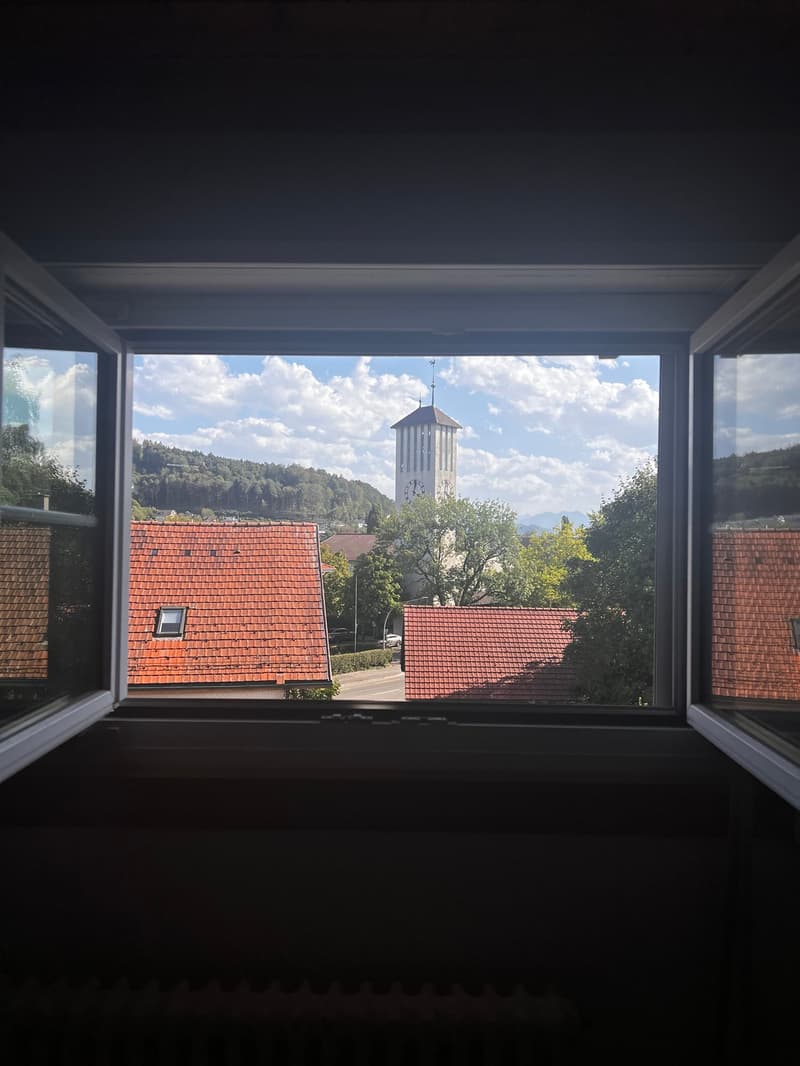 Charmante Dachwohnung (14)