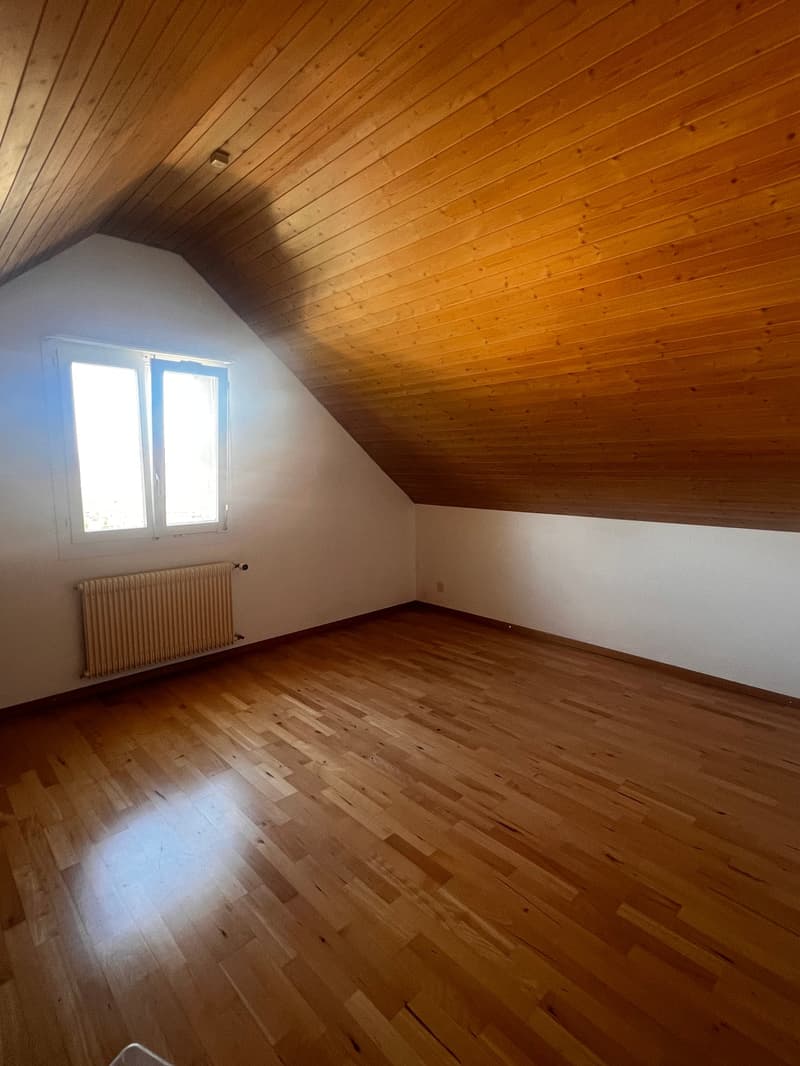 Charmante Dachwohnung (13)