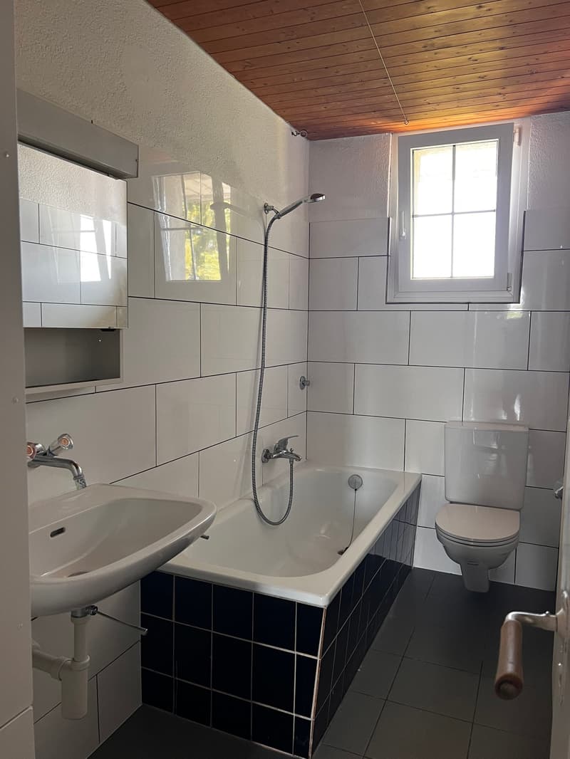 Altbauwohnung mit Charme (8)