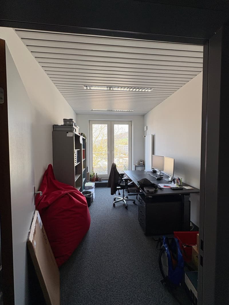 empty office room with desk, chair, monitors, bookshelf, red bean bag, storage boxes, plants