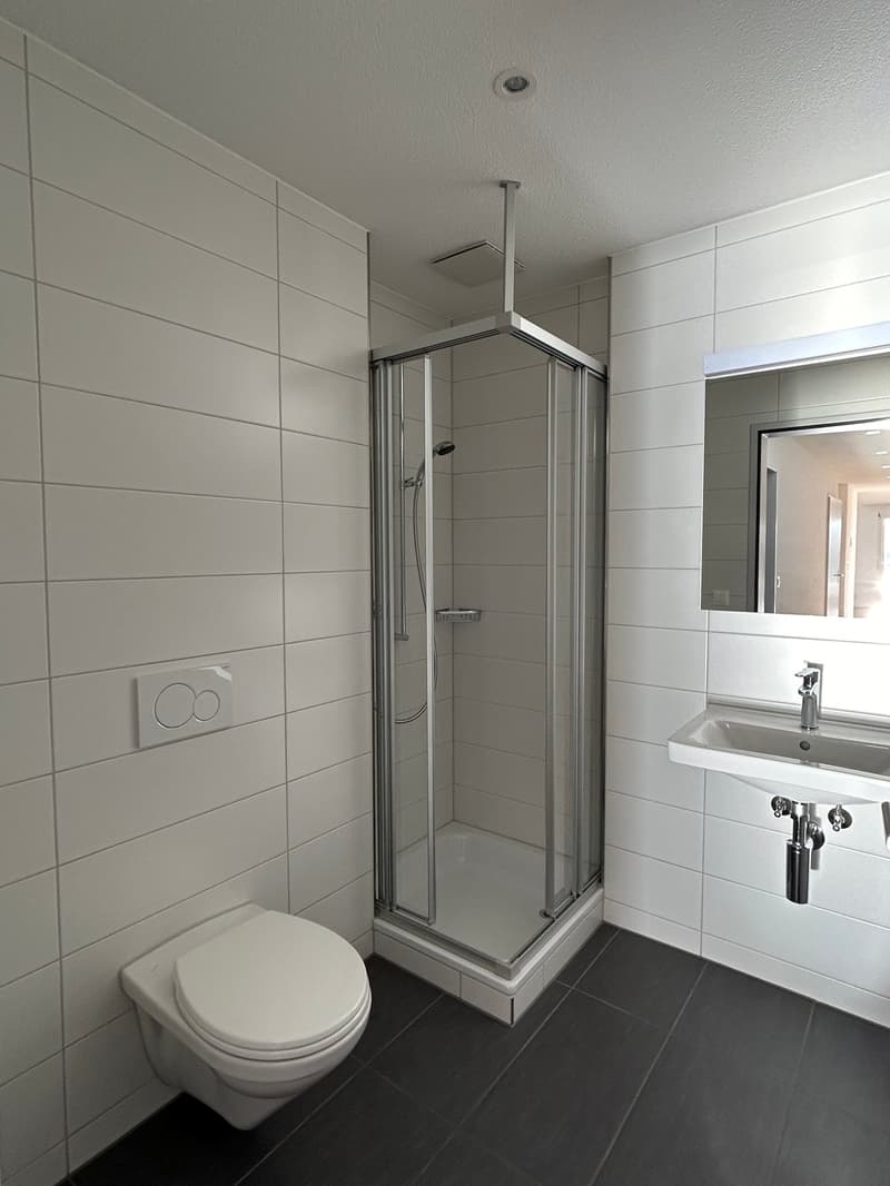 Bel appartement de 4.5 pièces en attique (9)