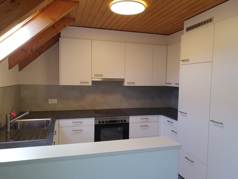 modern kitchen, stainless steel sink, oven, induction stove, white cabinetry, modern light