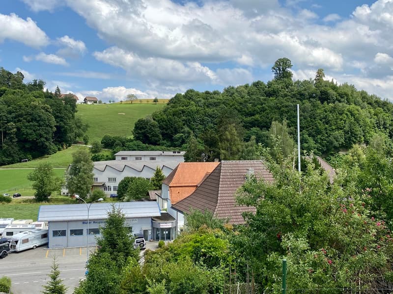 Grosszügige 6-Zimmer-Wohnung mit Garten und Balkon in Melchnau (12)