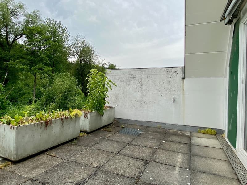6.5 Zimmer Haus zu verkaufen (12)