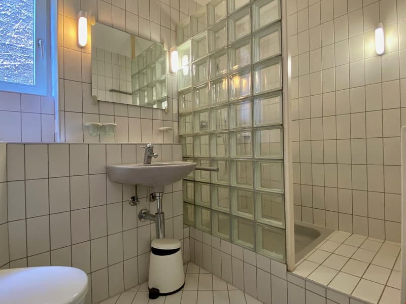 6.5 Zimmer Haus zu verkaufen (9)