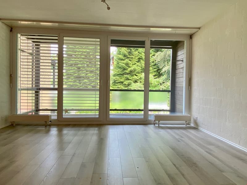 6.5 Zimmer Haus zu verkaufen (6)