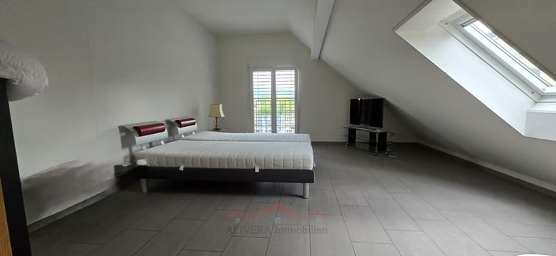 Bellissimo appartamento a maisonnette in centro (9)
