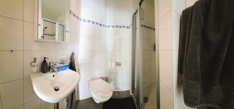 Grosszügige 4.5 Zimmer Wohnung (12)