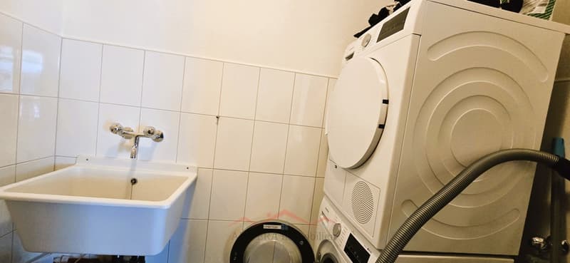 Grosszügige 4.5 Zimmer Wohnung (10)