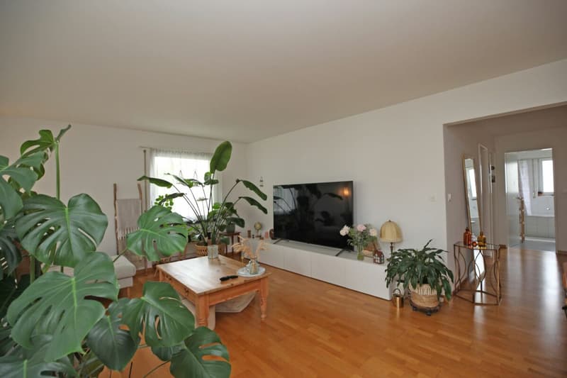Attraktive 3.5-Zimmerwohnung in Urtenen-Schönbühl (5)