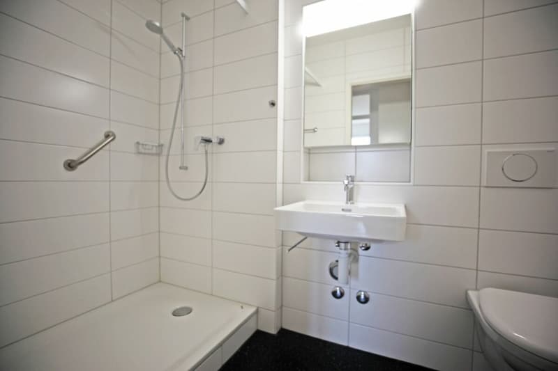 Teilsanierte 1.5-Zimmer-Dachwohnung (3)