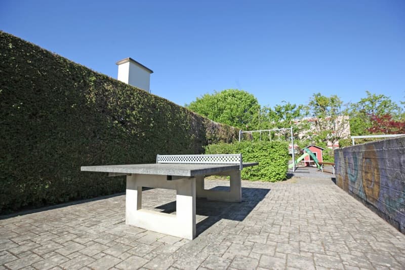 4.5-Zimmer-Eckhaus mit Gartenanlage (8)