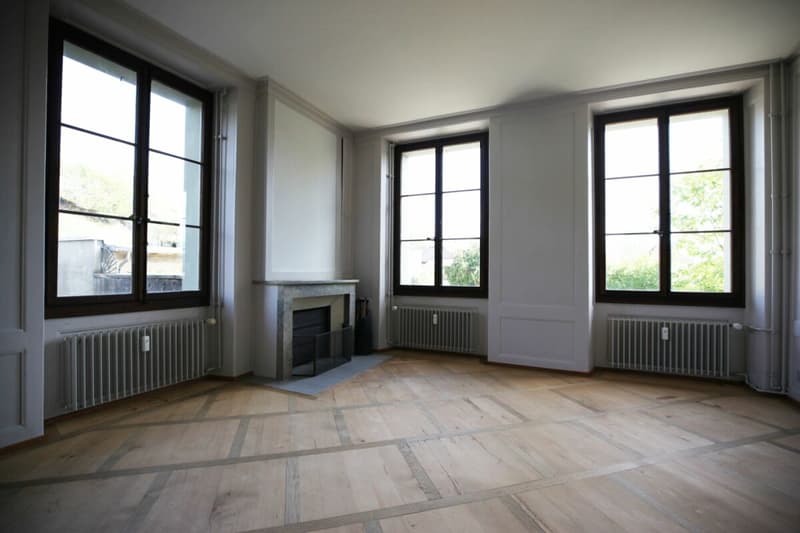 Grosszügige 5-Zimmer-Wohnung in ehemaligem Bauernhaus (9)