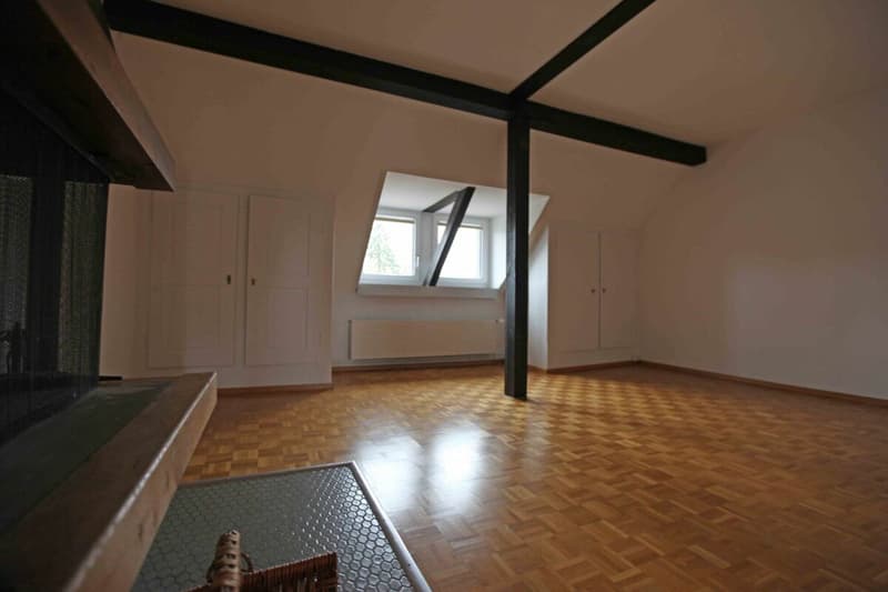 2.5-Zimmer-Wohnung im Kirchenfeldquartier (3)