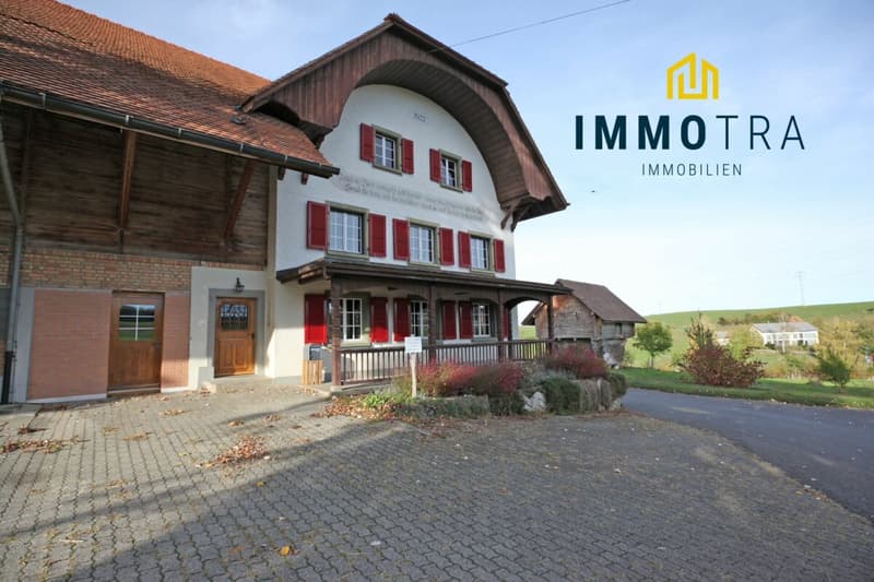6.5-Zimmer-Wohnung in einem Bauernhaus (1)