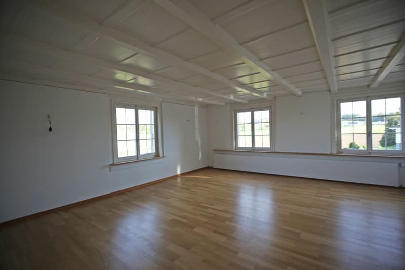6.5-Zimmer-Wohnung in einem Bauernhaus (8)