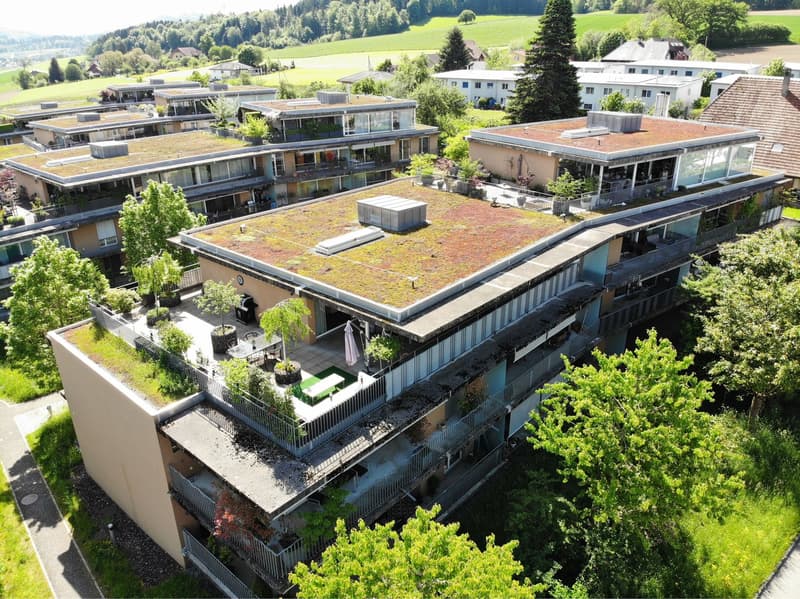 Moderne und Luxuriöse Attikawohnung am Stadtrand von Bern (1)