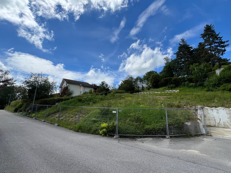 EINMALIGE GELEGENHEIT: BAULANDGRUNDSTÜCK MIT ALPSTEINBLICK IN TEUFEN AR | homegate.ch