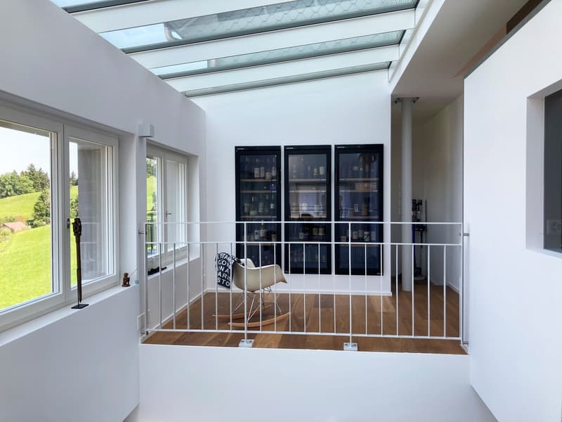 White walls, glass ceiling, rocking chair, display cases, view to the field