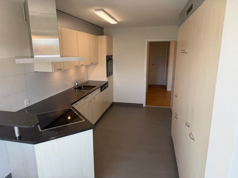frisch renovierte 4.5-Zimmer-Wohnung mit 2x Balkon, Seennähe, See- und Bergsicht (9)