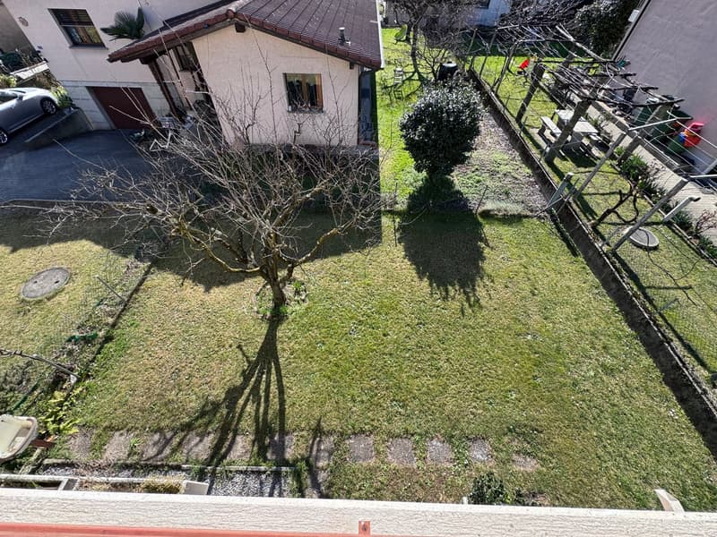 Aerial view of a garden with a tree, grass, and a house in the background.