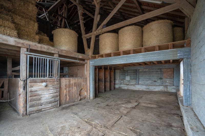 Chevaux.box1.jpg