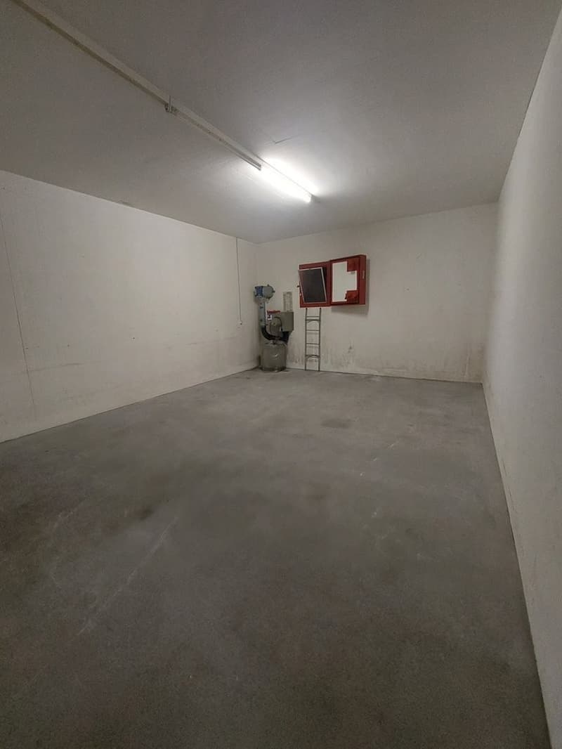 20250930_091055.jpg