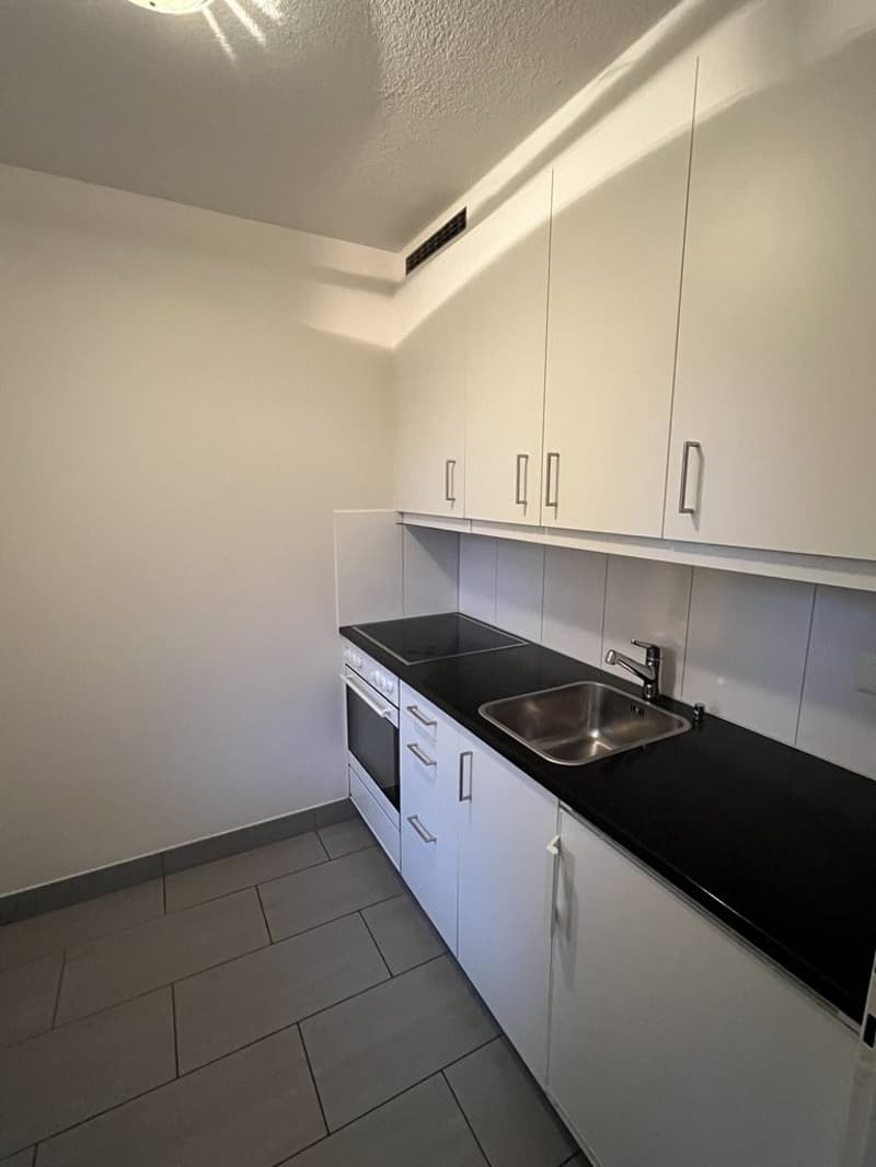 Parterre Wohnung mit Terrasse zu vermieten (2)