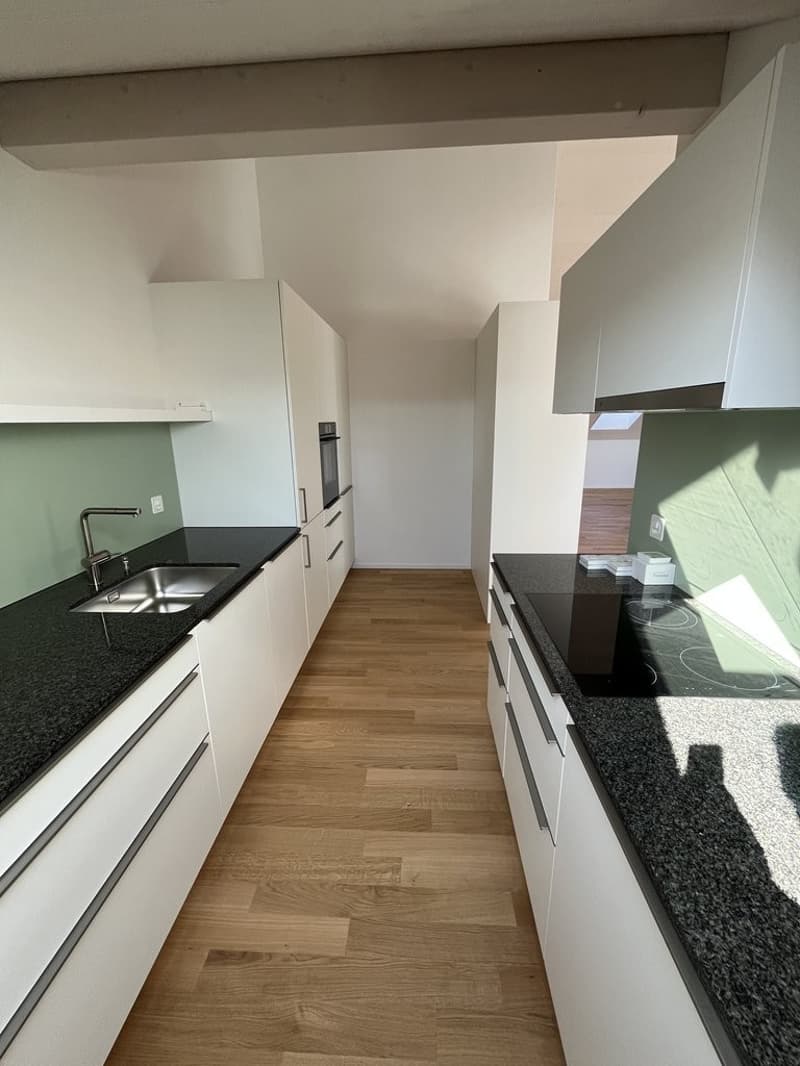 Neue, stylische Dachwohnung im Rossfeld (3)