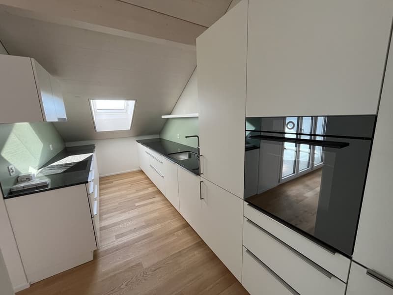 Neue, stylische Dachwohnung im Rossfeld (1)