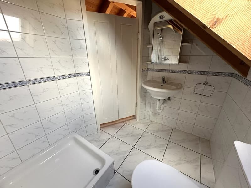 Toilette und Dusche bei Dachstock