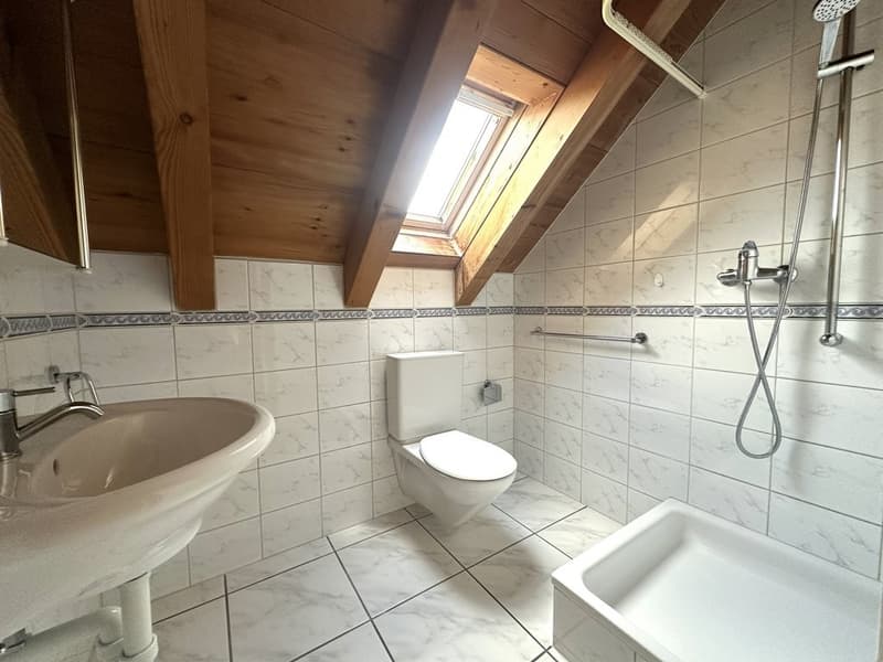 Toilette und Dusche bei Dachstock
