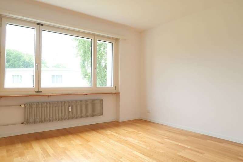 bild-die-gelegenheit-in-muri-muri-b-bern_9.jpg
