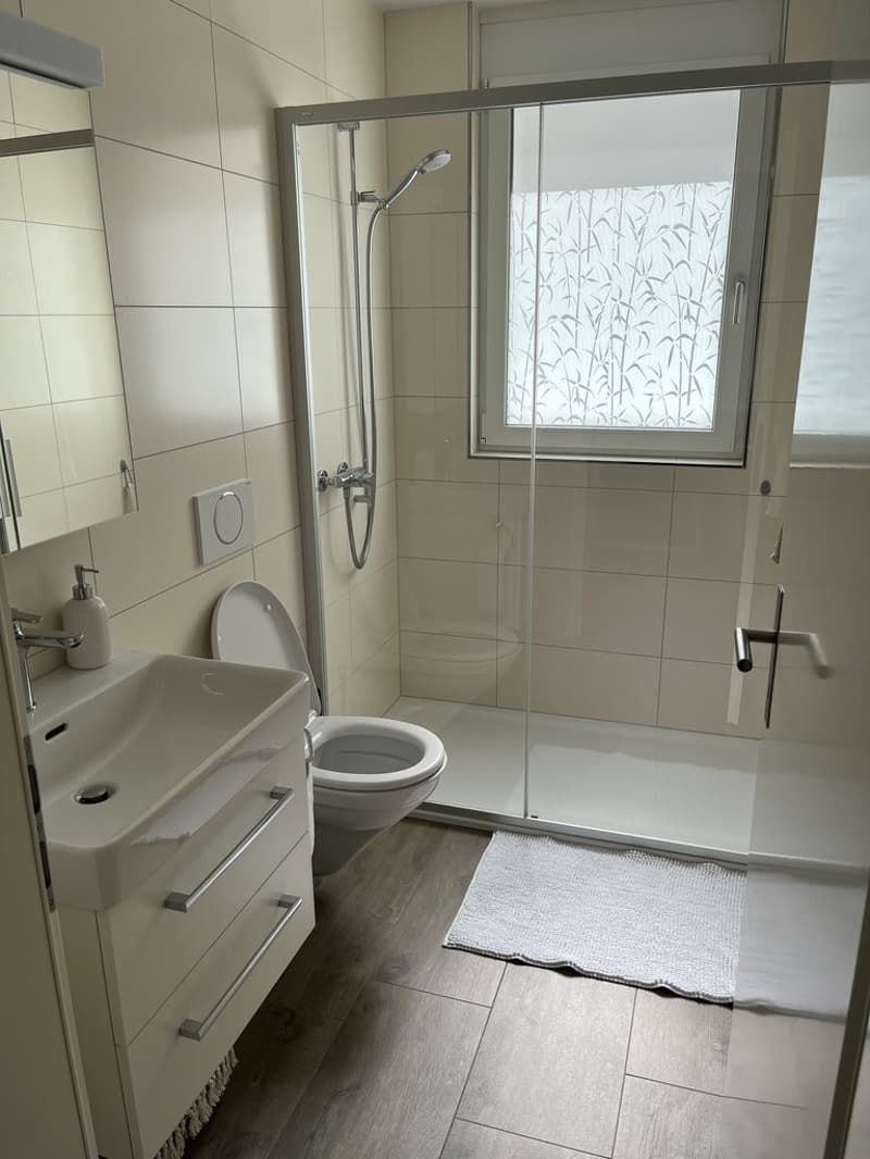 Modernes Wohnen nahe der Aare (2)