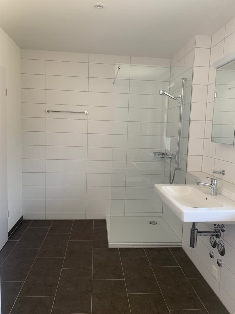 The image shows a modern bathroom with white tiled walls, a large shower area with a glass door, a white sink with a faucet, and dark brown tile flooring.