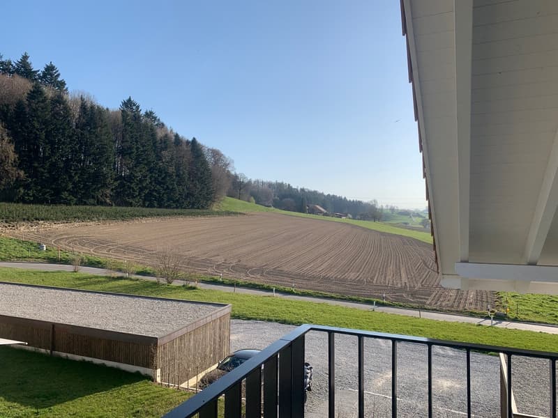 The image shows a rural landscape with a large open field in the foreground, surrounded by a forested area. The field appears to be freshly plowed, with parallel lines visible in the soil. In the background, there is a building with a wooden exterior, lik
