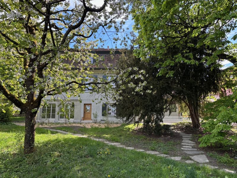Area parcheggio privata - Vivere con charme e unicità (16)