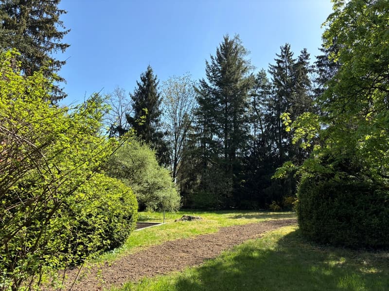 Private park area - Living with charm and uniqueness (19)