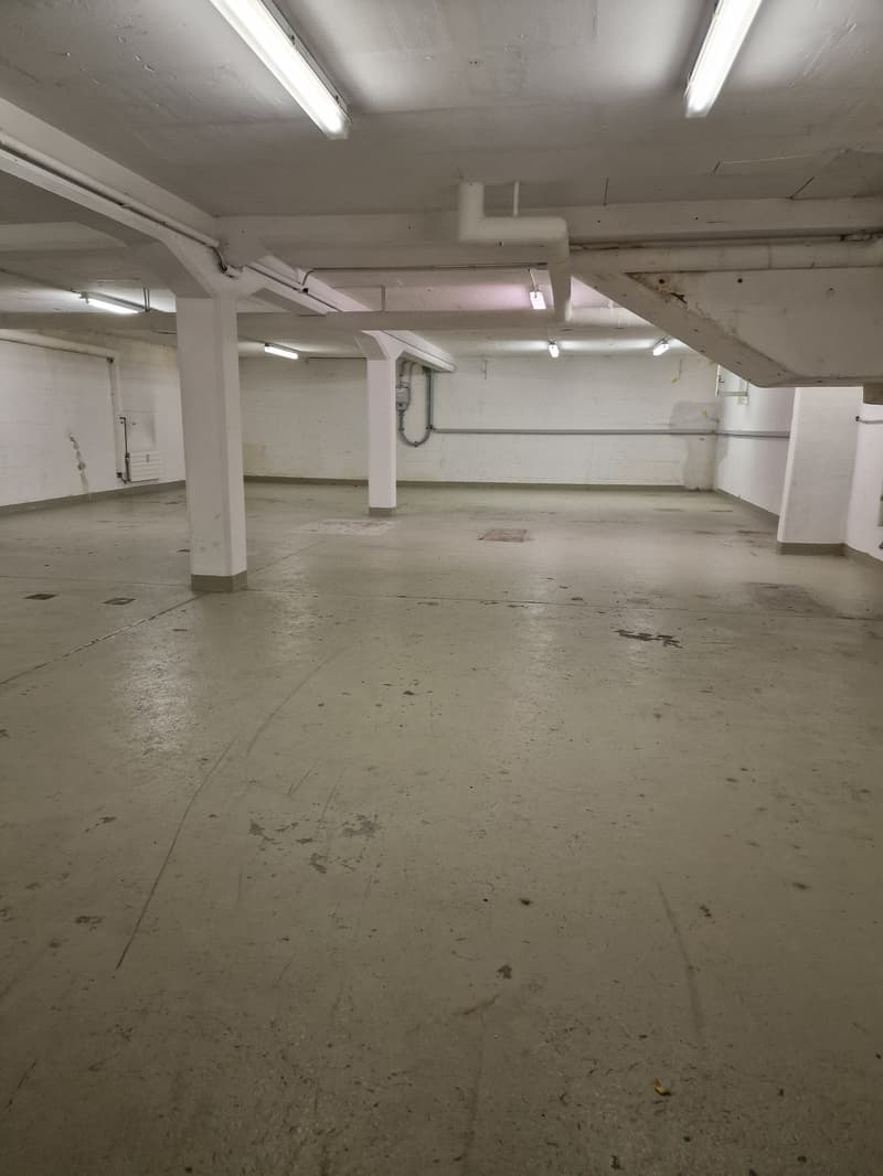 Geräumiger Hobbyraum im Untergeschoss an der Zwinglistrasse, Bern (4)