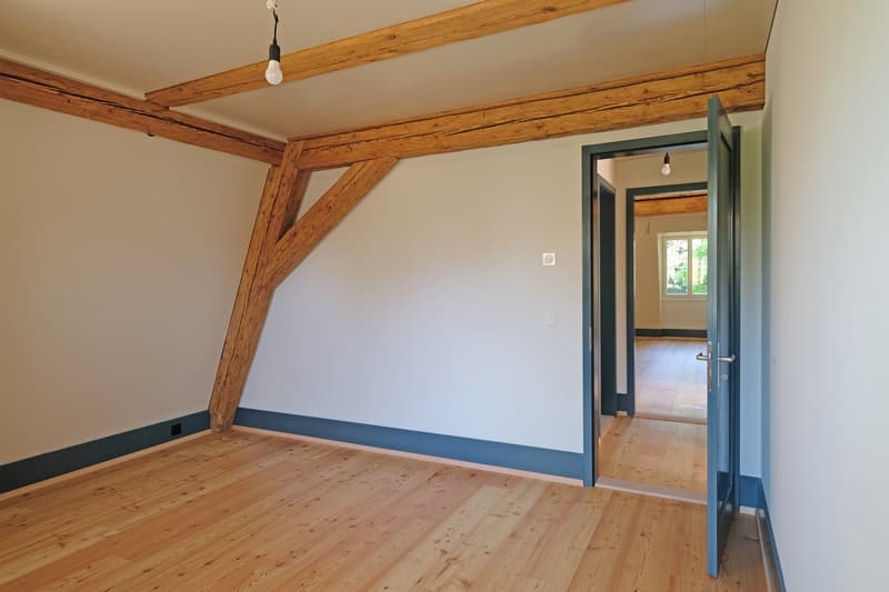 Eigene Parkanlage - Wohnen mit Charme und Einzigartigkeit (5)