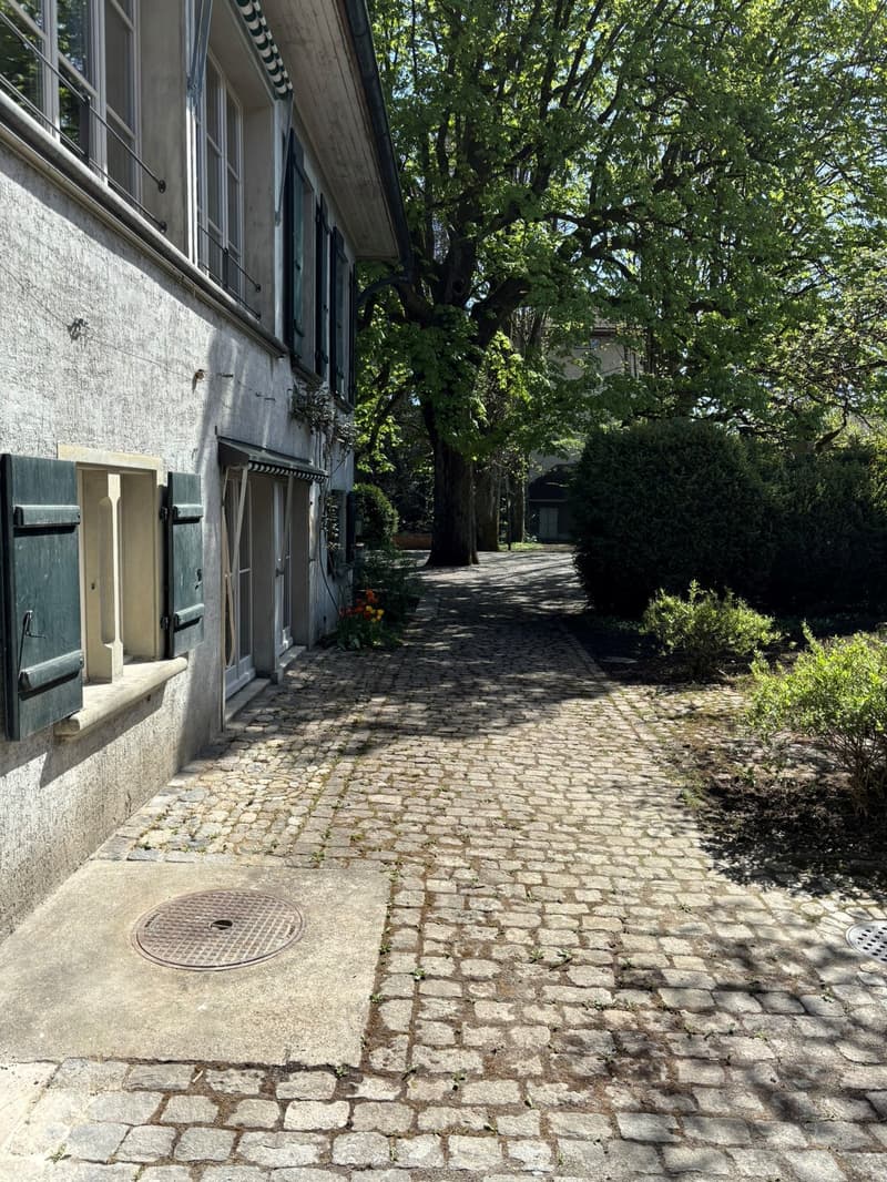 Eigene Parkanlage - Wohnen mit Charme und Einzigartigkeit (25)
