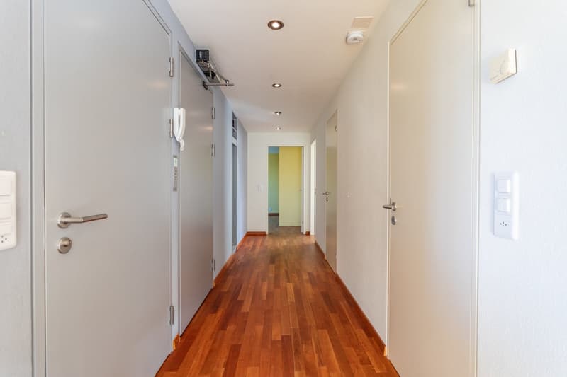 Attraktive & grosszügige Dachwohnung mit Terrasse im Breitsch (15)