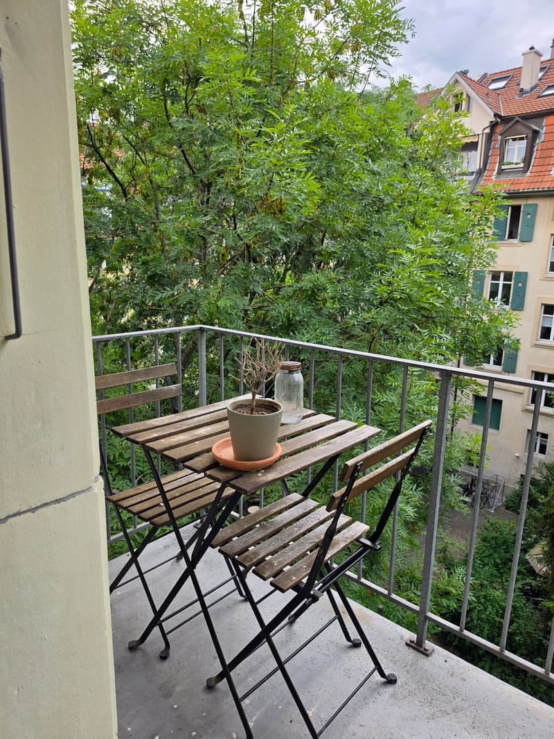 Charmante 2.5-Zimmer-Wohnung mit Balkon im Breitenrain-Quartier, Bern (4)