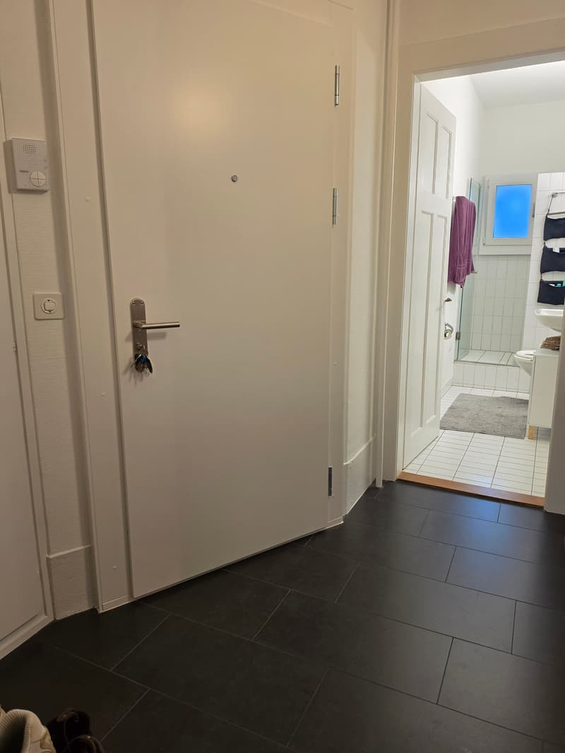 Charmante 2.5-Zimmer-Wohnung mit Balkon im Breitenrain-Quartier, Bern (6)