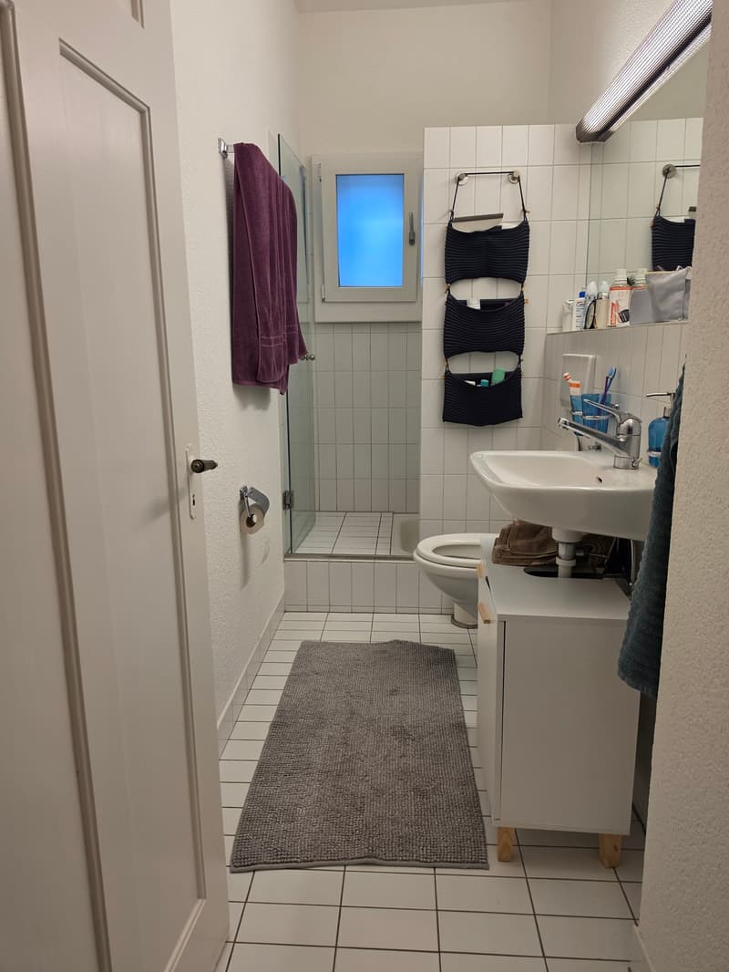 Charmante 2.5-Zimmer-Wohnung mit Balkon im Breitenrain-Quartier, Bern (5)