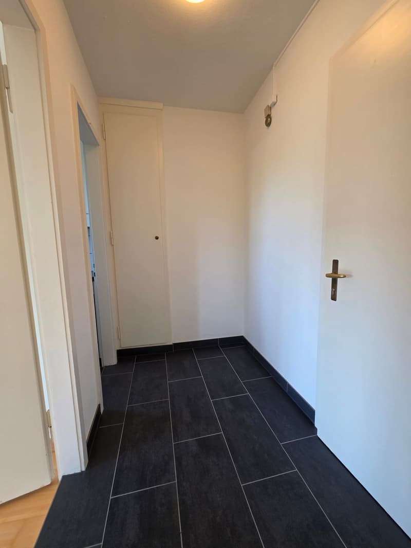 Charmante 1.5-Zimmer-Wohnung in ruhiger Lage in Bern (3)
