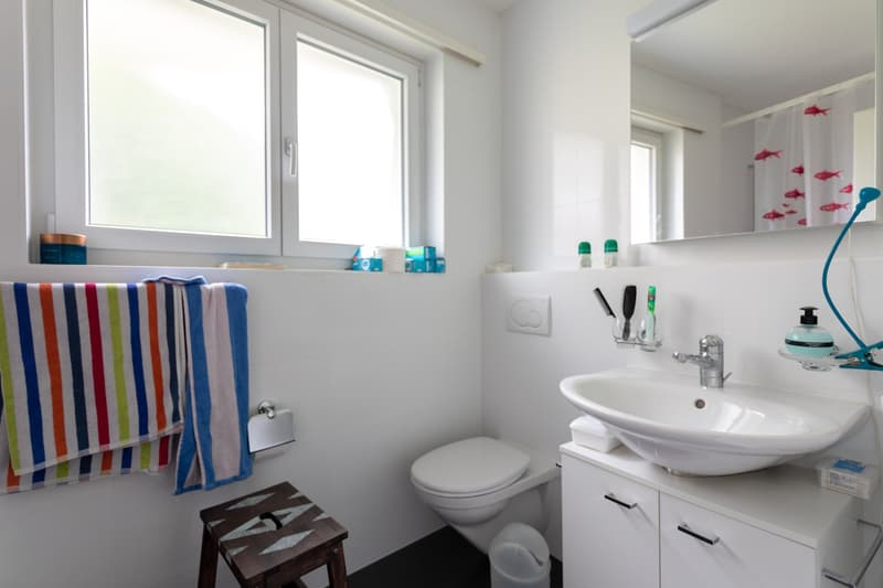 Grosszügie 1-Zimmer-Wohnung mit Kamin und Balkon in Bern (3)