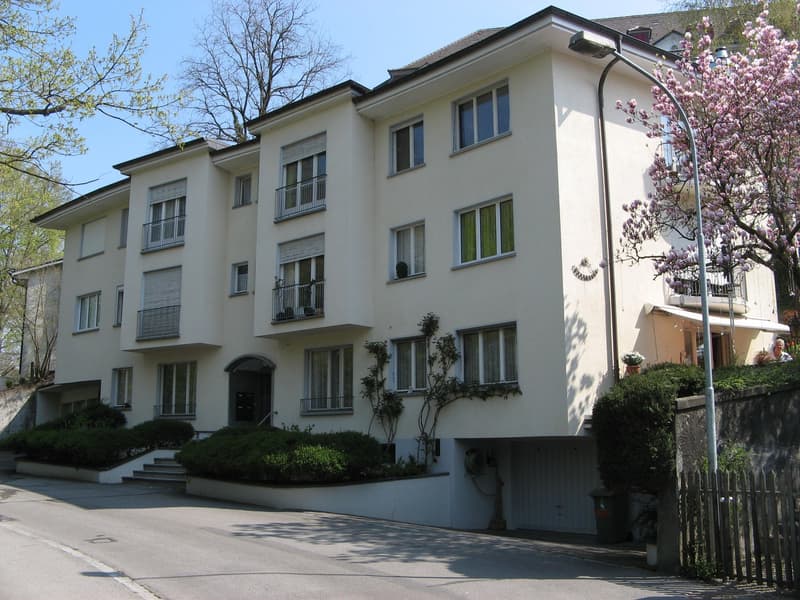 Grosszügie 1-Zimmer-Wohnung mit Kamin und Balkon in Bern (8)