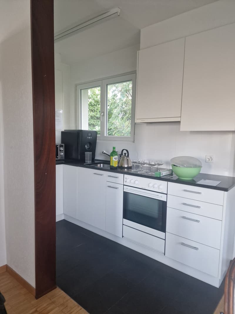 Grosszügie 1-Zimmer-Wohnung mit Kamin und Balkon in Bern (2)